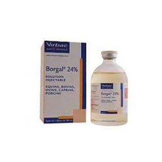 BORGAL 24% 100ml