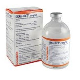 DEXAJECT 2mg/ml 100ml -EXP-