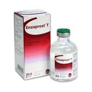 ENZAPROST T 50ml