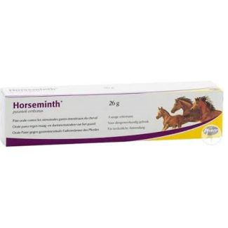 HORSEMINTH 1SERINGUE DE 26g -EXP-