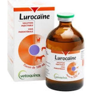 LUROCAÏNE sol. Inj. 100ml