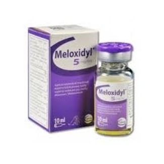 MELOXIDYL 5mg/ml Sol. Inj pour chiens 10ml