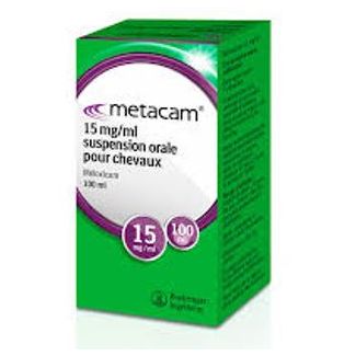 METACAM EQ 15mg/ml Susp. Orale 100ml