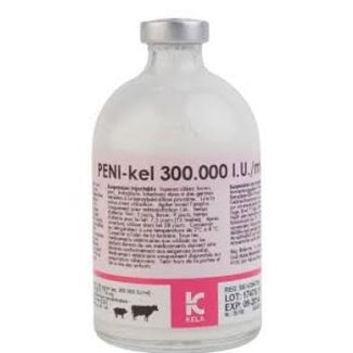 PENI-KEL 300.000IU/ml 100ml -EXP-