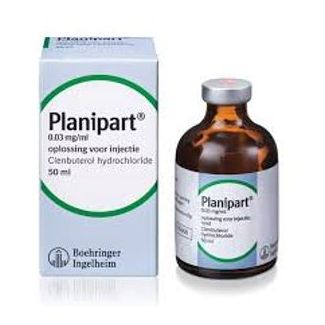 PLANIPART 50ml