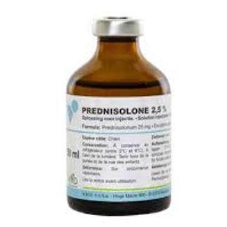 PREDNISOLONE VMD 2.5% 50ml -EXP-