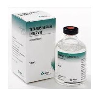 SERUM ANTITETANIQUE 50ml -EXP-