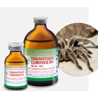 TARANTULA CUBENSIS D6 3x100ml -EXP-