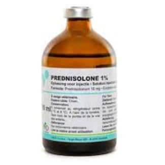PREDNISOLONE VMD 1% 100ml -EXP-