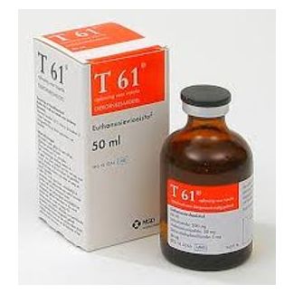 T61 50ml