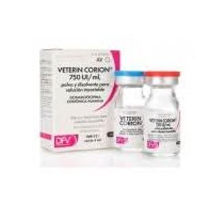 VETERIN CORION 750UI/ml -Poudre et Solvant 4ml-EXP-