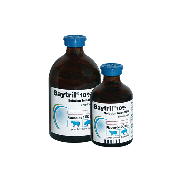 BAYTRIL 10 % SOLUTION FOR INJECTION