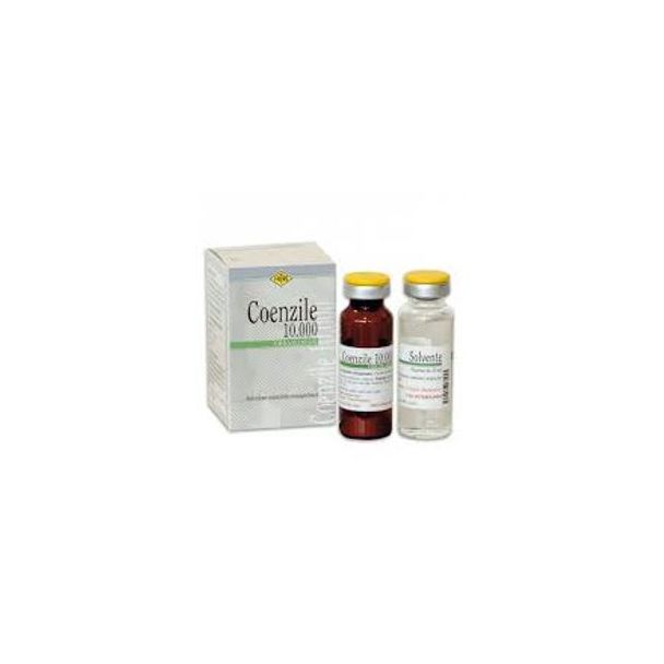 COENZILE10.000µg/20ml 2 cps -EXP-