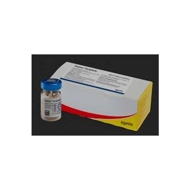 POULVAC ENCEPHALO 10x1000d