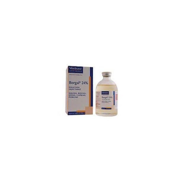 BORGAL 24% 100ml