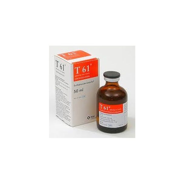 T61 50ml