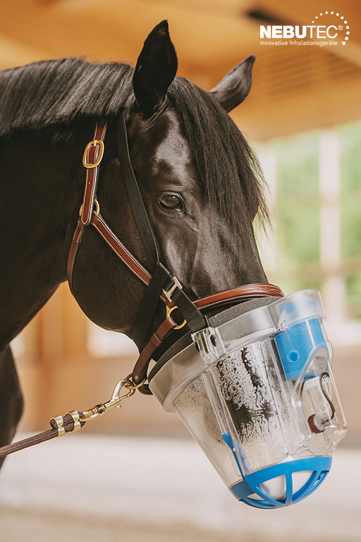 L'impact du stress sur l'inhalation des chevaux