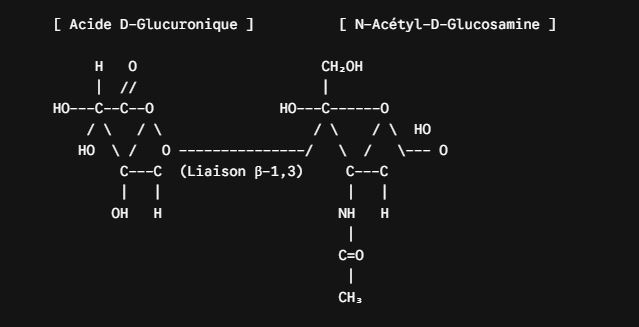 Hyaluronic Acid