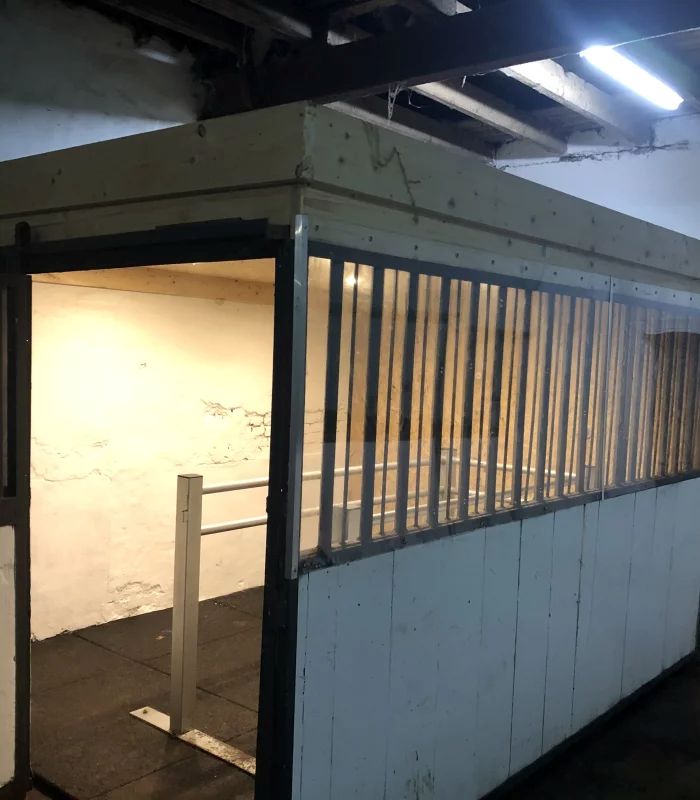 Cheval dans une stalle transformée en espace d’inhalation